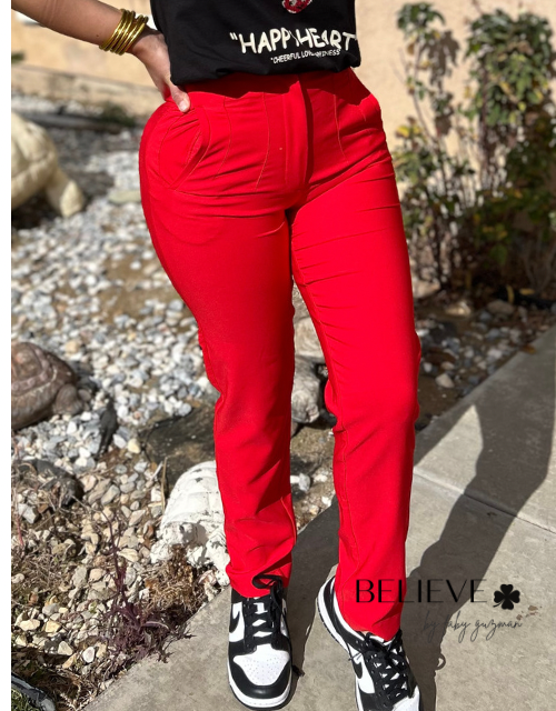 Zara Inspiration Pants